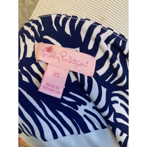 Lilly Pulitzer Blue and Pink Long Sleeve Dress - Picture 11 of 11